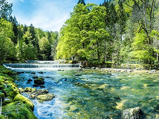 Greater corporate action can help to reverse nature and biodiversity loss