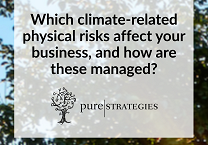 Introducing Pure Strategies of the Week!