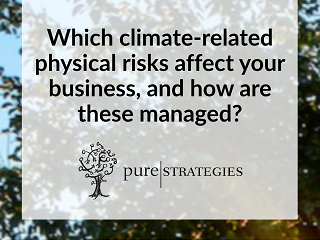 Introducing Pure Strategies of the Week!