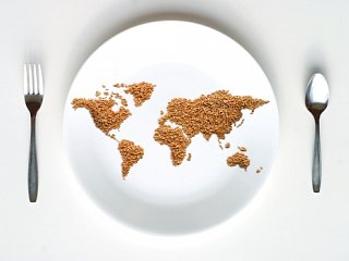 The Hunger Games are Not Sponsored by Responsible Corporations